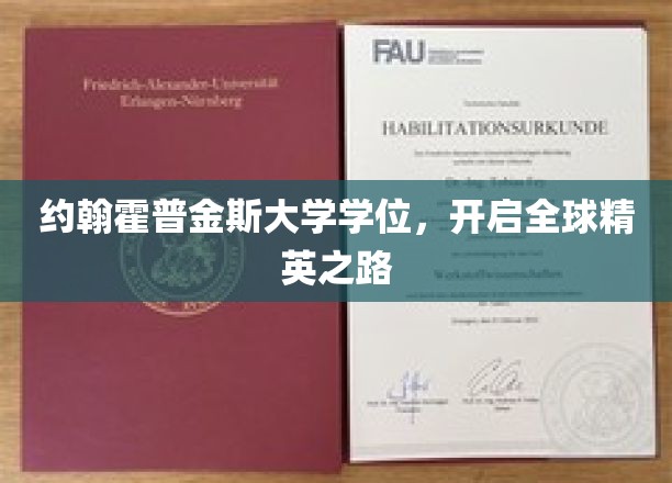 约翰霍普金斯大学学位，开启全球精英之路
