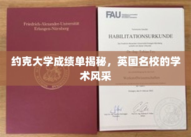 探秘英国约克大学成绩单，领略名校学术风采