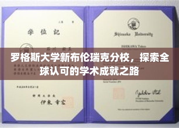 罗格斯大学新布伦瑞克分校，探索全球认可的学术成就之路