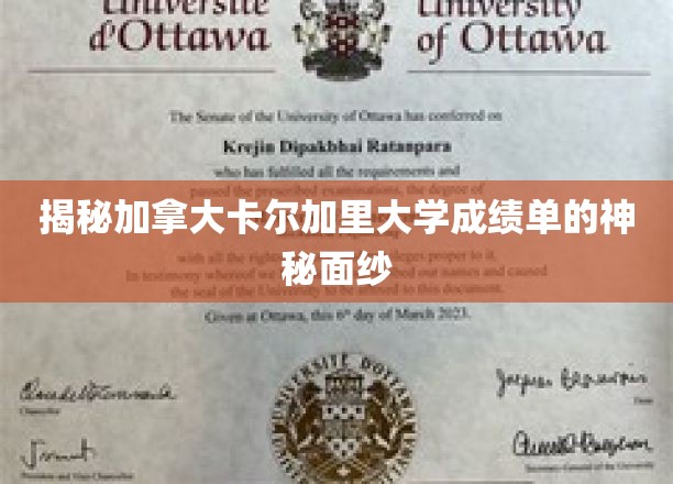 加拿大卡尔加里大学成绩单背后的独特奥秘