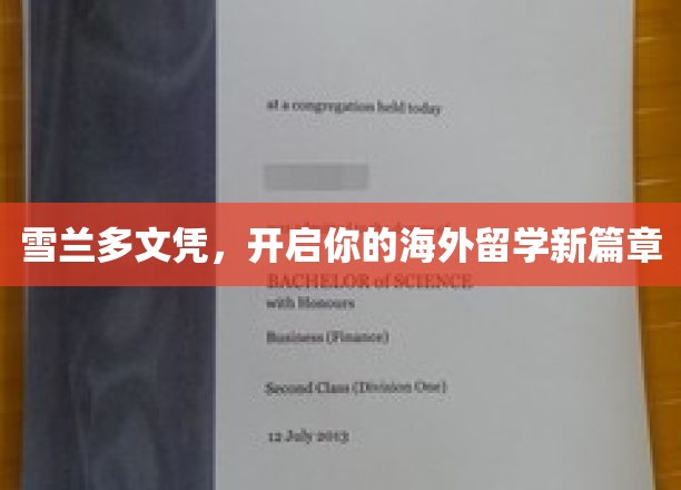 雪兰多文凭助力，海外留学梦想启航之旅