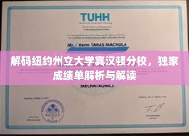 纽约州立大学宾汉顿分校揭秘，深度成绩单解析，洞察学术奥秘