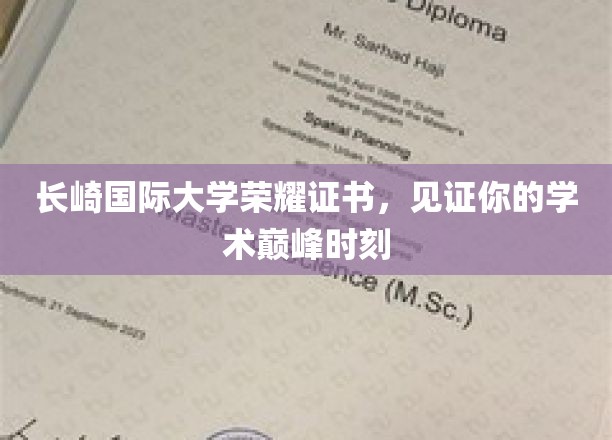长崎国际大学荣耀证书，成就你学术巅峰的荣耀见证