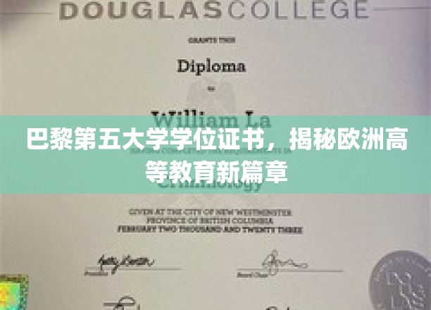 巴黎第五大学学位证书，开启欧洲高等教育新篇章
