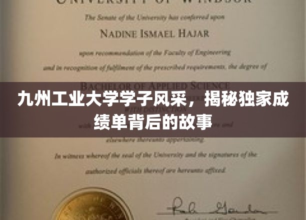 九州工业大学学子风采，揭秘独家成绩单背后的故事
