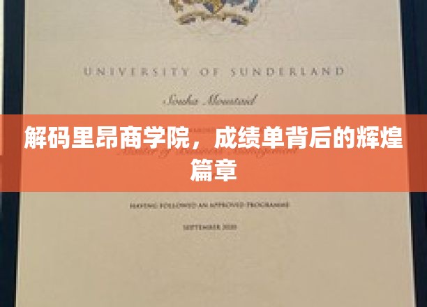 探寻里昂商学院，揭开辉煌成就背后的神秘面纱
