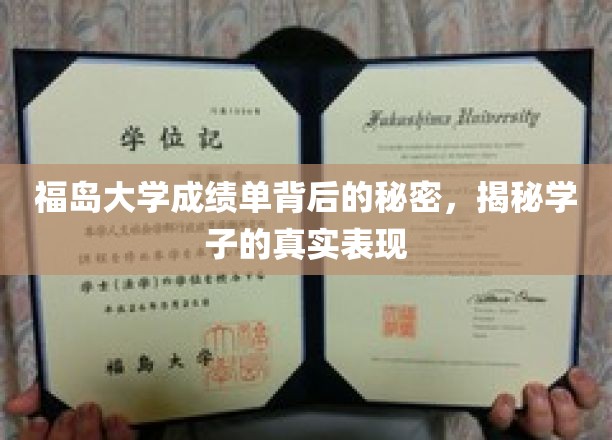 福岛大学成绩单背后的秘密，揭秘学子的真实表现