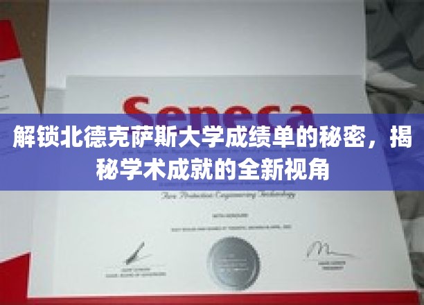 探寻北德克萨斯大学成绩单背后的学术奥秘