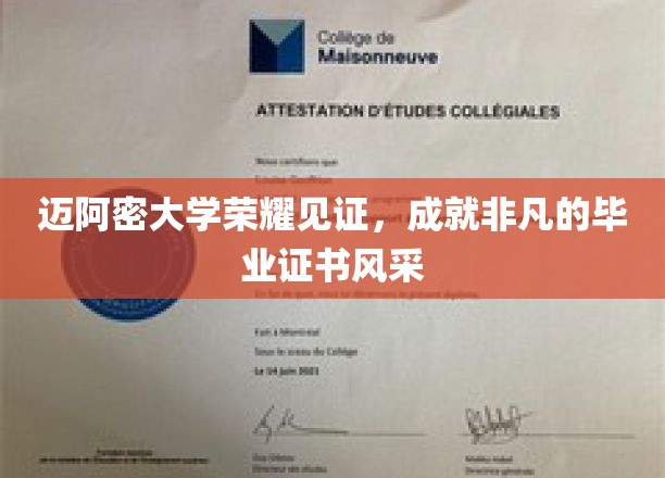 迈阿密荣耀盛典，毕业证书闪耀非凡风采