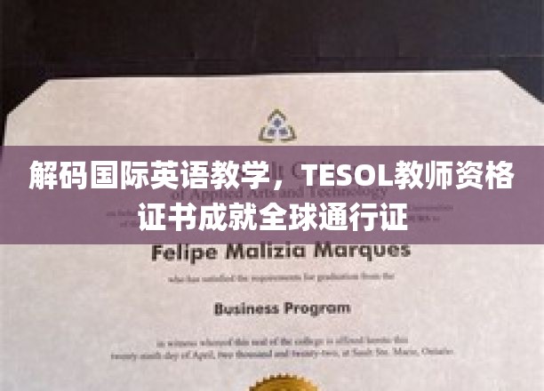 跨国英语教学新纪元，TESOL证书打造全球英语教师通行证