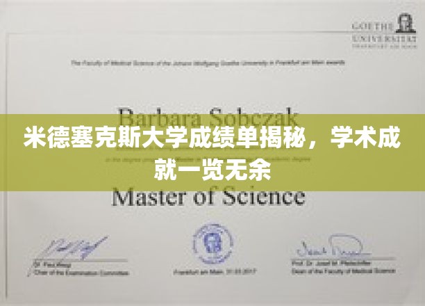 米德塞克斯大学成绩单揭秘，学术成就一览无余