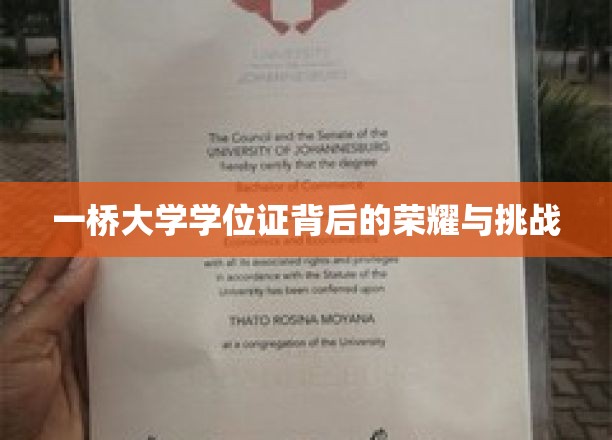一桥学位证，荣耀之光背后的砥砺征程