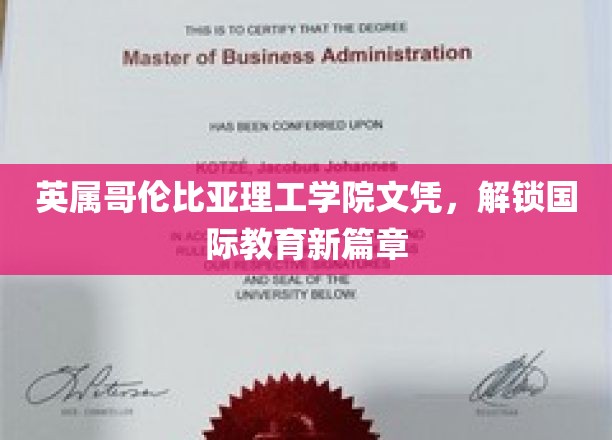 跨越国界，英属哥伦比亚理工学院文凭引领全球教育新里程