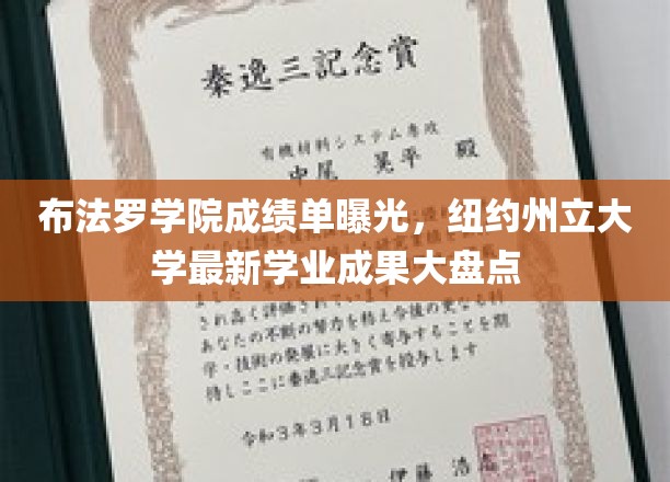 纽约州立大学布法罗学院成绩揭晓，一窥最新学业风采