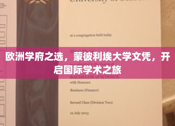 跨洋深造首选，蒙彼利埃大学文凭，开启全球学术新篇章