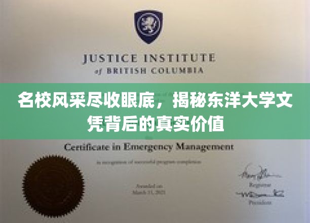 东洋大学文凭魅力揭秘，名校光环下的真实实力与价值