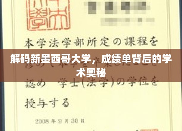 解码新墨西哥大学，成绩单背后的学术奥秘