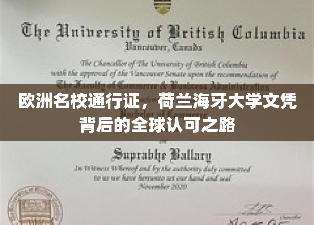 欧洲名校通行证，荷兰海牙大学文凭背后的全球认可之路
