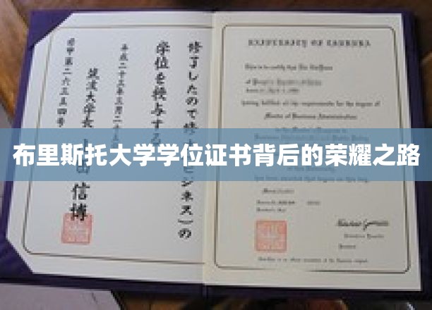 布里斯托大学学位证书背后的辉煌之路