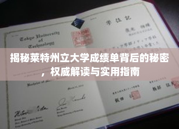 深入解读莱特州立大学成绩单的秘密，权威指南与实用建议
