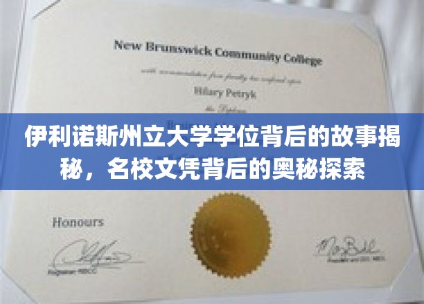 伊利诺伊州立大学学位背后的故事揭秘，名校文凭背后的奥秘探索