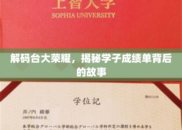 台大精英养成记，揭秘学子成绩单背后的奋斗历程