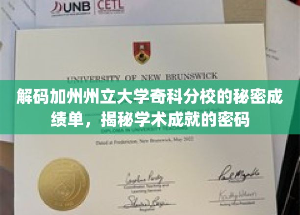 揭开加州奇科分校神秘面纱，揭秘学霸们的成绩单密码