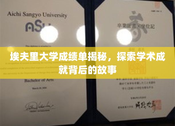 埃夫里大学成绩单背后的学术传奇，揭秘学子成就背后的真实故事