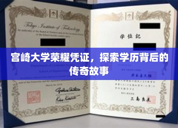 宫崎大学荣耀证书揭秘，探寻学历背后的非凡传奇