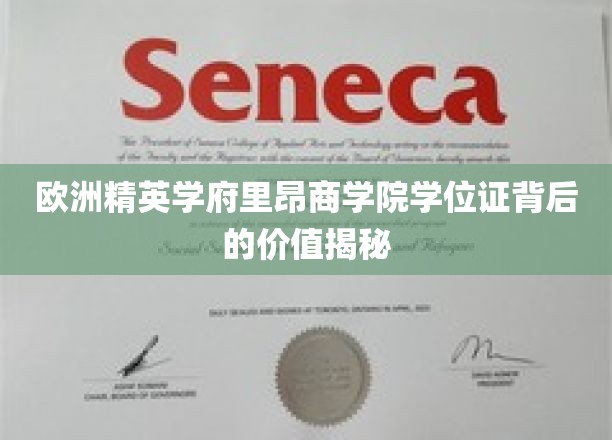 解码里昂商学院，精英学位证的神秘价值与无限可能