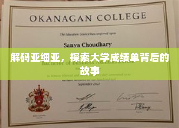 解码亚细亚，探寻大学成绩单背后的故事