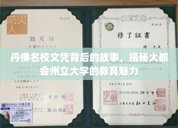 丹佛名校文凭背后的故事，揭秘大都会州立大学的教育魅力