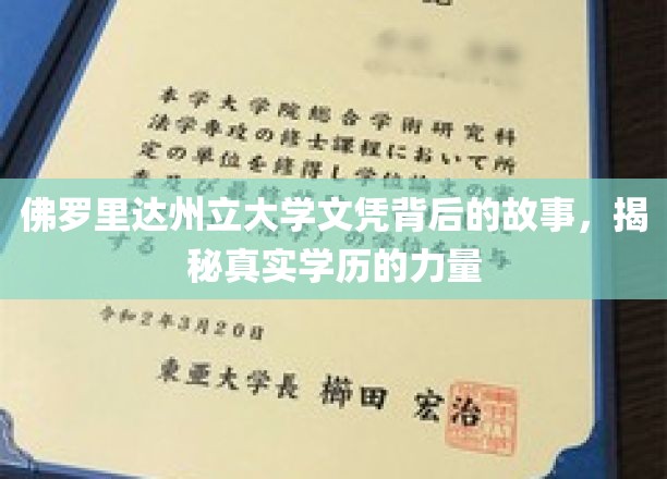 佛罗里达州立大学文凭背后的传奇，学历背后的真实力量大揭秘