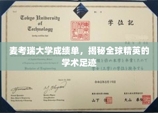 麦考瑞大学成绩单，揭秘全球精英的学术足迹