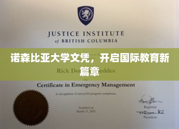 诺森比亚大学文凭，领航全球教育新纪元