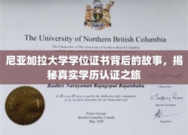 尼亚加拉大学学位证书背后的故事，揭秘真实学历认证之旅