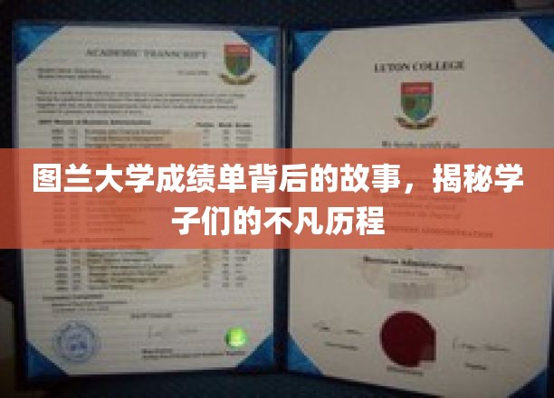 图兰大学成绩单背后的故事，探寻学子非凡的成长轨迹