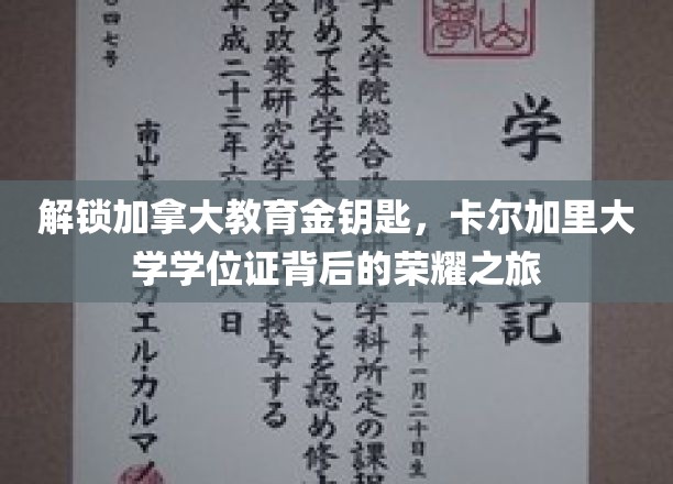 解锁加拿大教育金钥匙，卡尔加里大学学位证背后的荣耀之旅