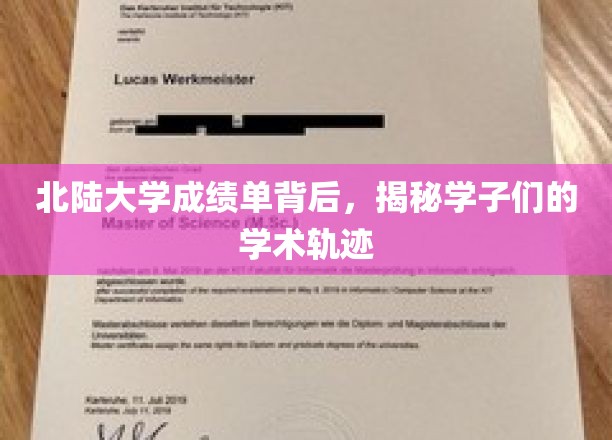 北陆大学成绩单解码，一窥学子们的求知足迹