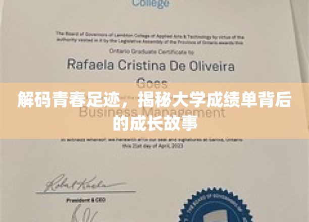 解码青春足迹，揭秘大学成绩单背后的成长故事