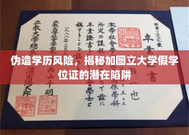 学历造假警示，加图立大学假学位证的隐秘风险揭露