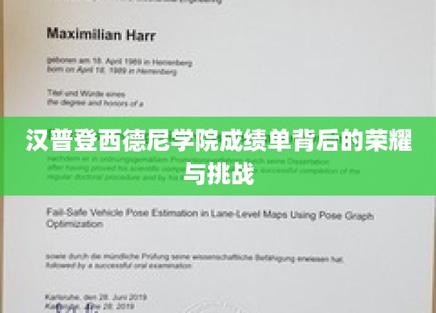 探寻汉普登西德尼学院成绩单背后的辉煌之路与成长考验