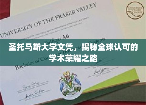 探索圣托马斯大学文凭背后的全球学术荣耀传奇