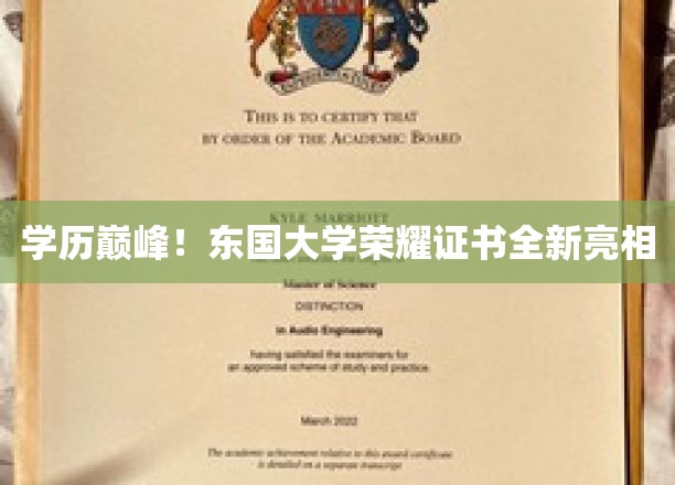 东国大学证书新颜绽放，开启学历新篇章