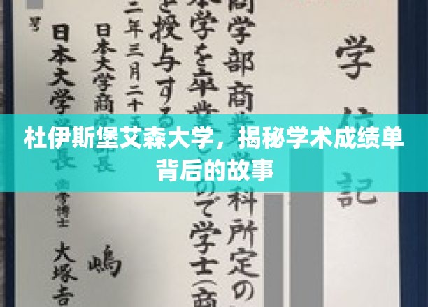 杜伊斯堡艾森大学，揭秘学术成绩单背后的故事