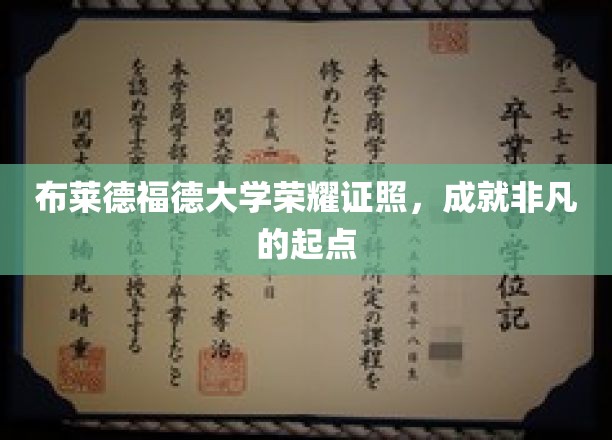 布莱德福德大学荣耀证照，成就非凡的起点