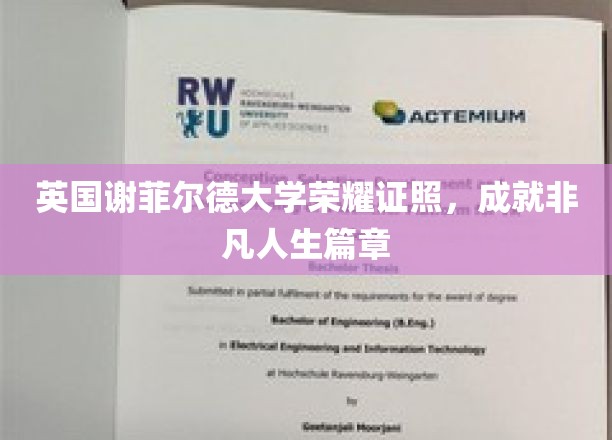 英国谢菲尔德大学荣耀证照，成就非凡人生篇章
