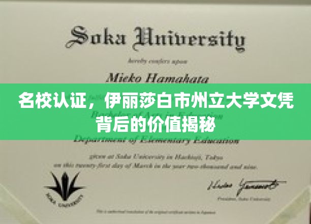 文凭含金量揭秘，伊丽莎白市州立大学名校认证背后的惊人价值
