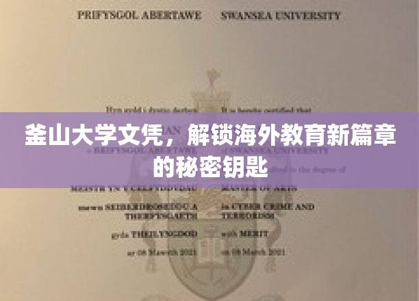 海外学历通行证，釜山大学文凭，开启留学新纪元的关键钥匙