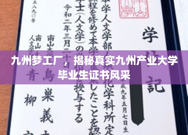 九州英才展翅，产业大学证书魅力大揭秘